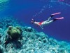 Những địa điểm lặn biển ngắm san hô đẹp nhất Việt Nam