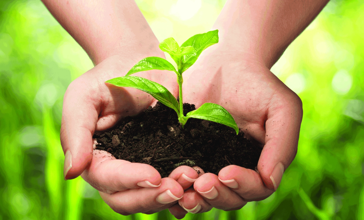 Những lợi ích do nông nghiệp hữu cơ mang lại đối với môi trường