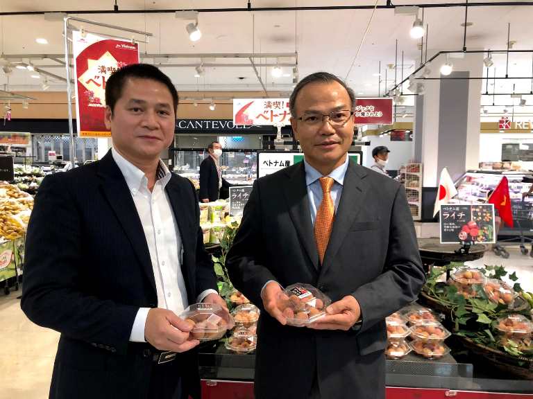 Đại sứ Vũ Hồng Nam (phải) và Tham tán Thương mại Việt Nam tại Nhật Bản Tạ Đức Minh (trái) trong sự kiện quảng bá trái vải Việt Nam tại Nhật Bản.