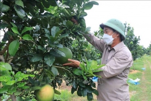Điểm tựa đưa nông sản Việt vươn xa